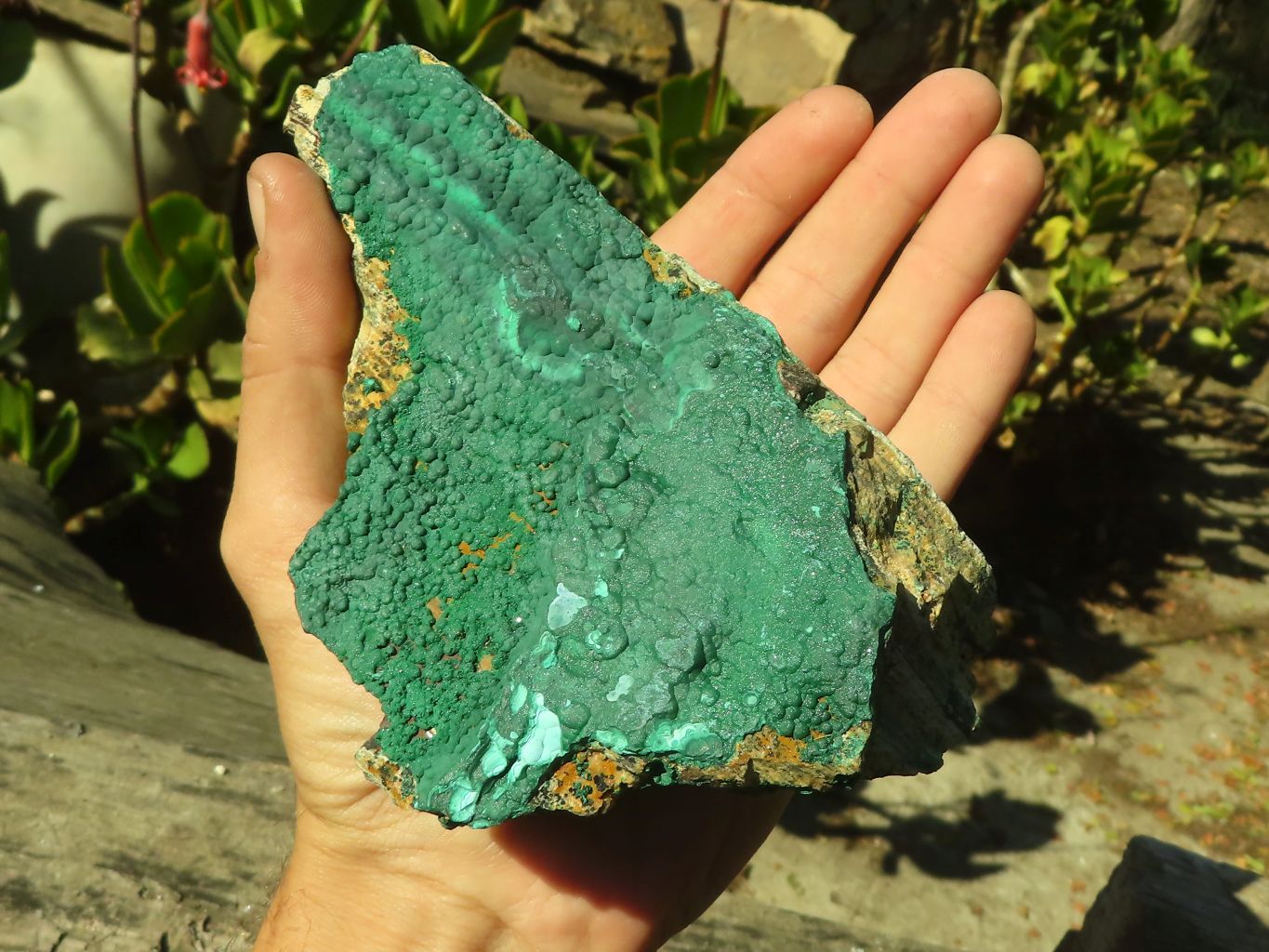 Natural Micro Botryoidal Crystalline Malachite Specimens  x 3 From Congo - Toprock Gemstones and Minerals 