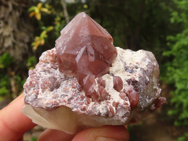 Natural Red Hematite Quartz Crystals  x 12 From Karoi, Zimbabwe - Toprock Gemstones and Minerals 