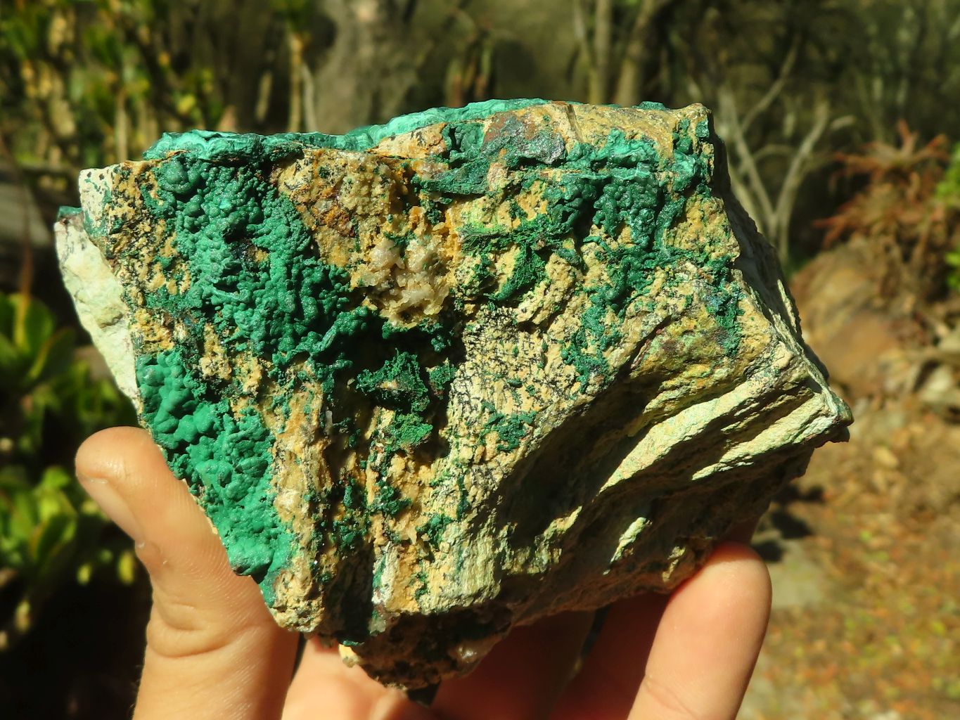 Natural Micro Botryoidal Crystalline Malachite Specimens  x 3 From Congo - Toprock Gemstones and Minerals 