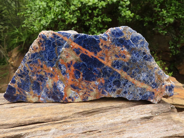 Polished Blue Sodalite Standing Slab  x 1 From Namibia - Toprock Gemstones and Minerals 