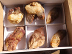 Natural Red Hematoid  Phantom Quartz Specimens x 6 From Karoi, Zimbabwe - Toprock Gemstones and Minerals 