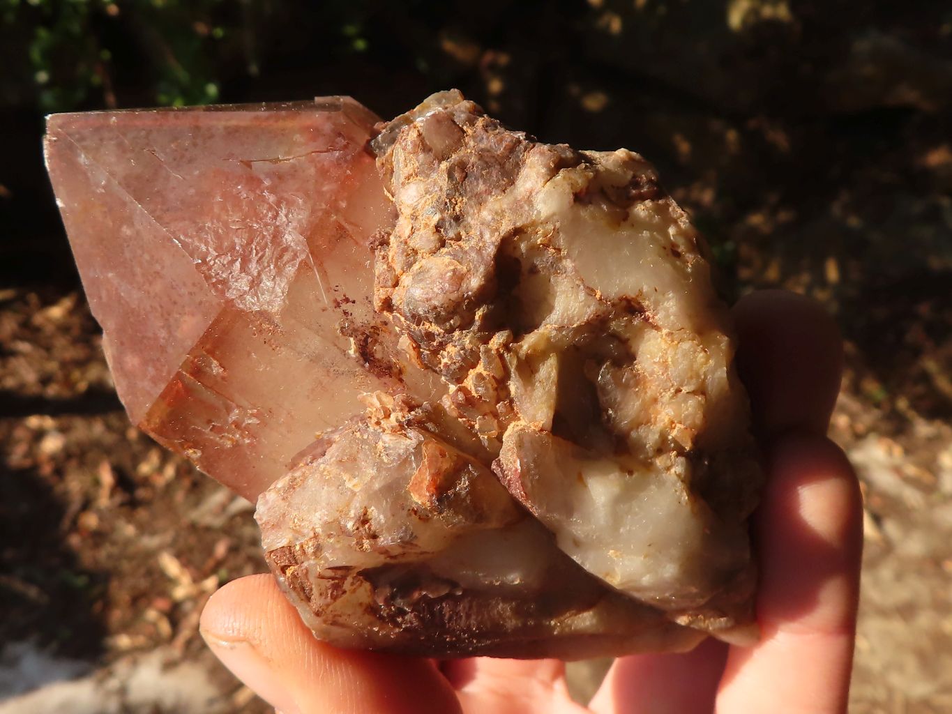 Natural Red Hematoid  Phantom Quartz Specimens x 6 From Karoi, Zimbabwe - Toprock Gemstones and Minerals 