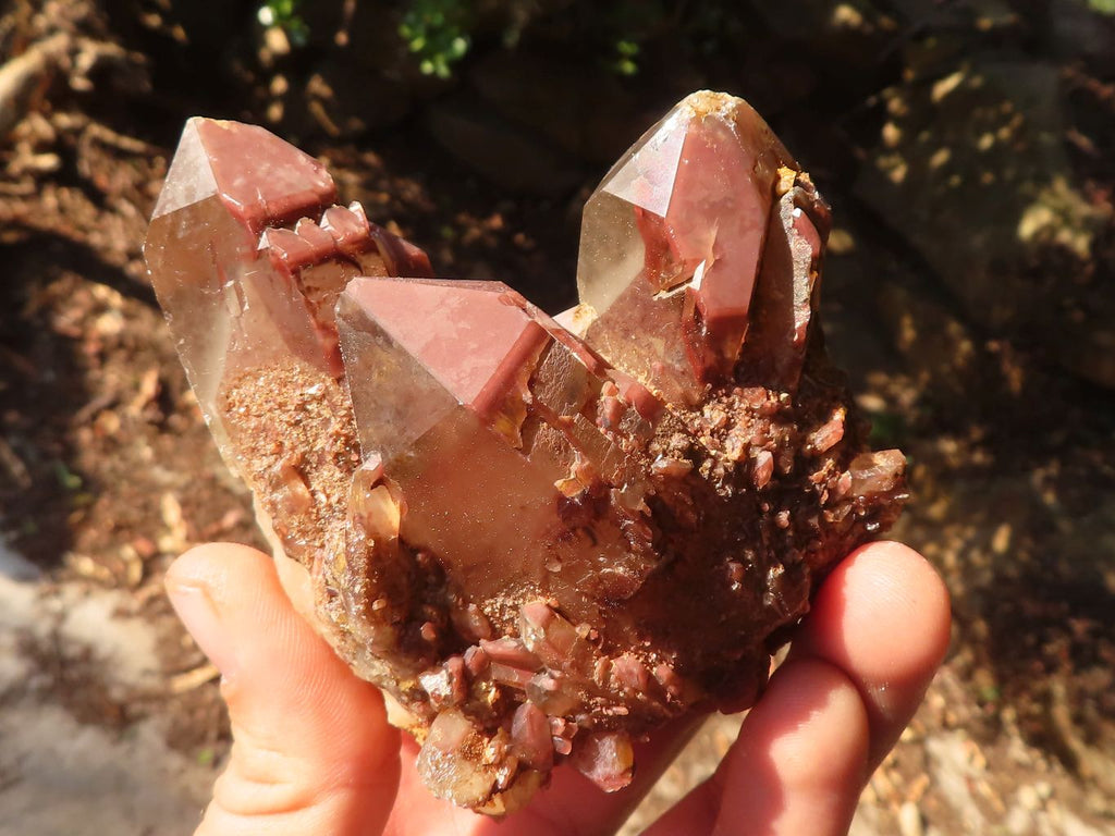 Natural Red Hematoid  Phantom Quartz Specimens x 6 From Karoi, Zimbabwe - Toprock Gemstones and Minerals 