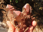 Natural Red Hematoid  Phantom Quartz Specimens x 6 From Karoi, Zimbabwe - Toprock Gemstones and Minerals 