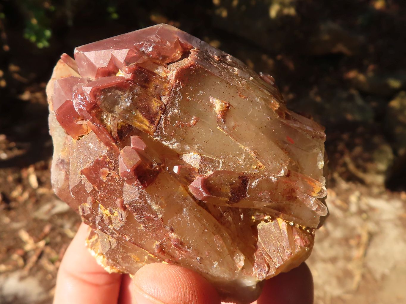 Natural Red Hematoid  Phantom Quartz Specimens x 6 From Karoi, Zimbabwe - Toprock Gemstones and Minerals 
