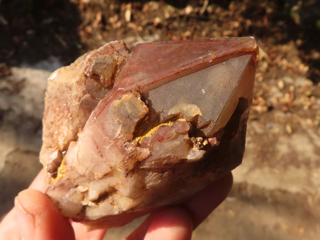 Natural Red Hematoid  Phantom Quartz Specimens x 6 From Karoi, Zimbabwe - Toprock Gemstones and Minerals 