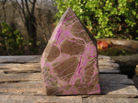 Polished Stichtite & Serpentine Points x 2 From Barberton, South Africa - Toprock Gemstones and Minerals 