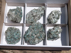 Natural Green Emerald In Mica & Quartz Schist x 6 From Sandawana, Zimbabwe - TopRock