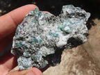 Natural Green Emerald In Mica & Quartz Schist x 6 From Sandawana, Zimbabwe - TopRock