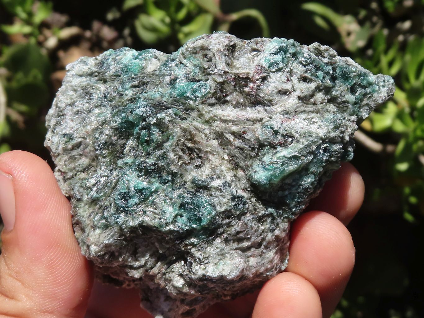 Natural Green Emerald In Mica & Quartz Schist x 6 From Sandawana, Zimbabwe - TopRock