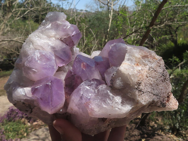 Natural Jacaranda Amethyst Clusters  x 2 From Mumbwa, Zambia