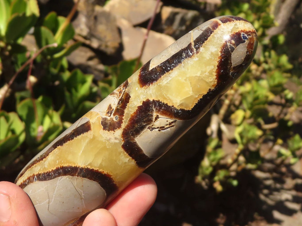 Polished Septerye (Calcite & Aragonite) Massage Wands x 12 From Madagascar - Toprock Gemstones and Minerals 