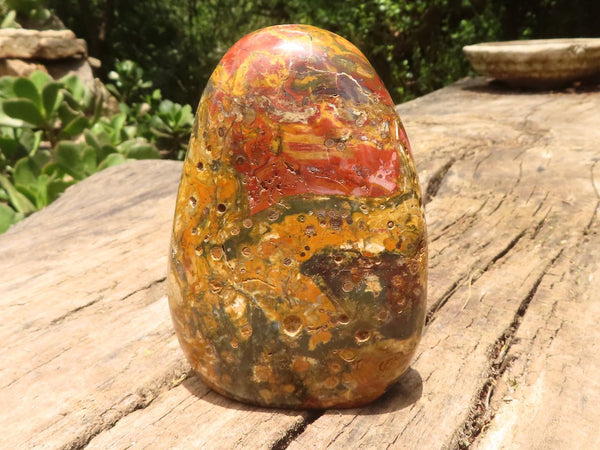 Polished Gorgeous Red Jasper Standing Free Forms  x 2 From Madagascar - TopRock