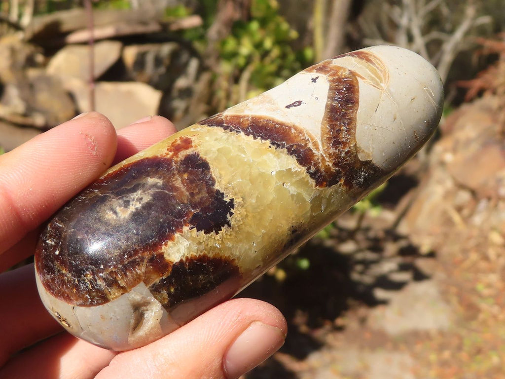 Polished Septerye (Calcite & Aragonite) Massage Wands x 12 From Madagascar - Toprock Gemstones and Minerals 