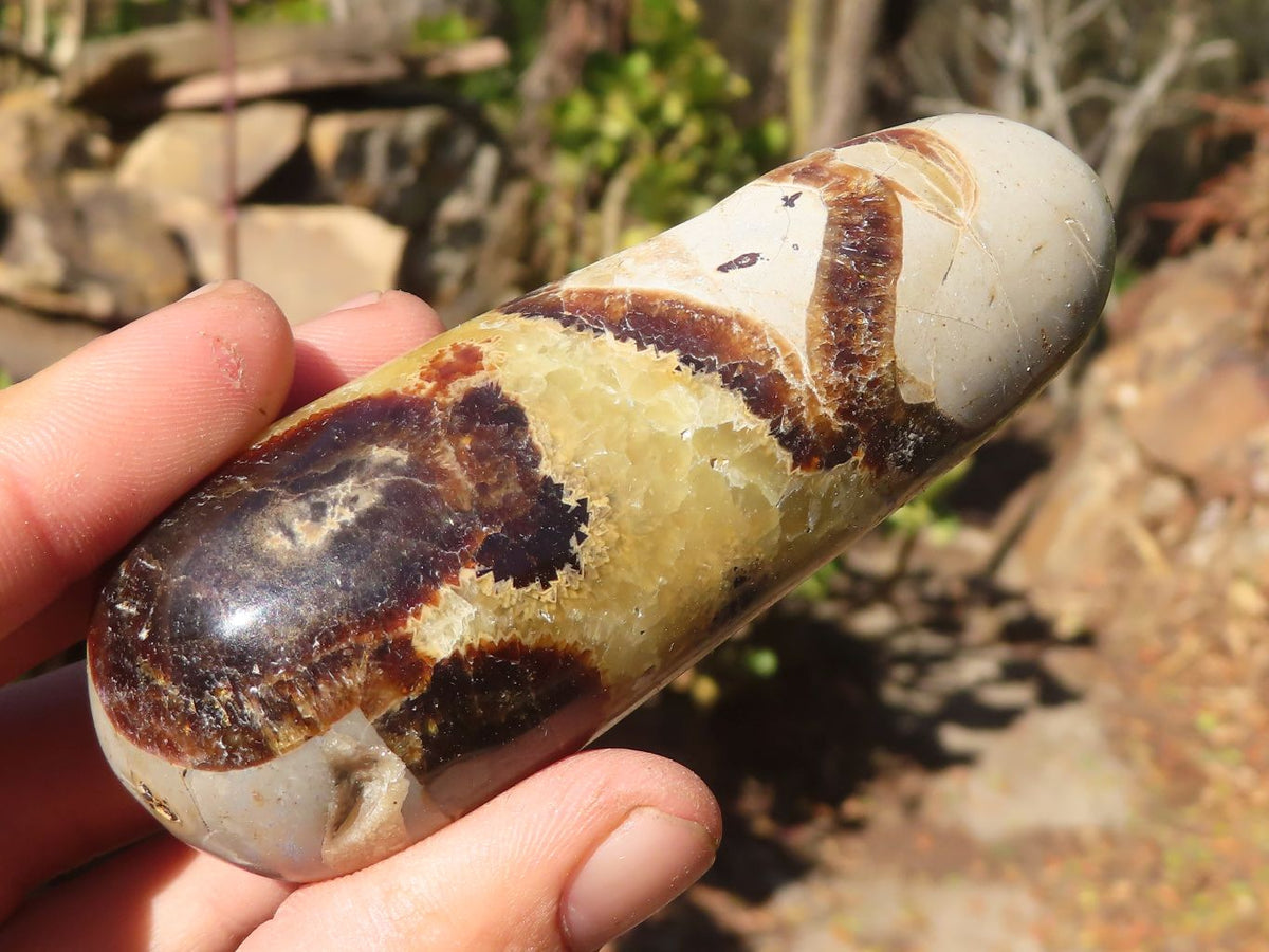 Polished Septerye (Calcite & Aragonite) Massage Wands x 12 From Madagascar - Toprock Gemstones and Minerals 