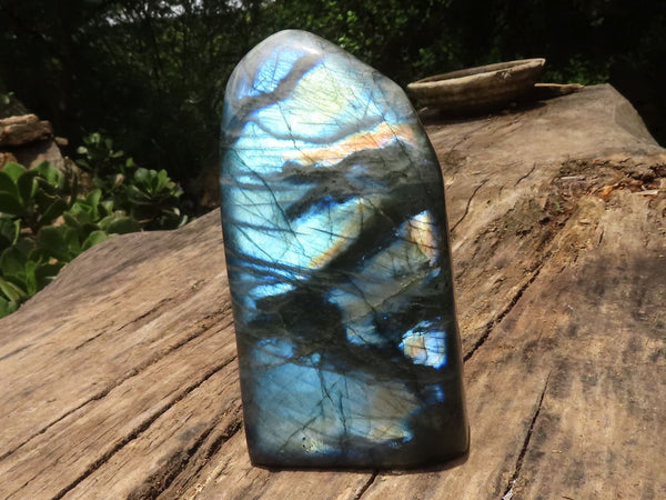 Polished Large Labradorite Standing Free Form With Intense Blue Flash  x 1 From Tulear, Madagascar - TopRock