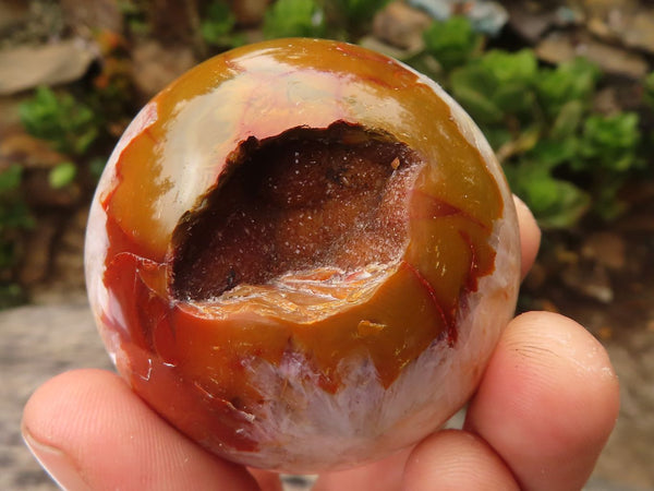 Polished Gorgeous Carnelian Agate Spheres  x 6 From Madagascar - Toprock Gemstones and Minerals 