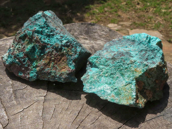 Natural Rough Blue Shattuckite Specimens With Chrysocolla & Native Copper  x 12 From Namibia - TopRock