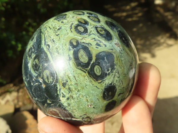 Polished Stromatolite / Kambamba Jasper Spheres  x 6 From Madagascar - TopRock