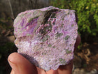 Natural Rough Stichtite & Serpentine Specimens x 12 From Barberton, South Africa - Toprock Gemstones and Minerals 