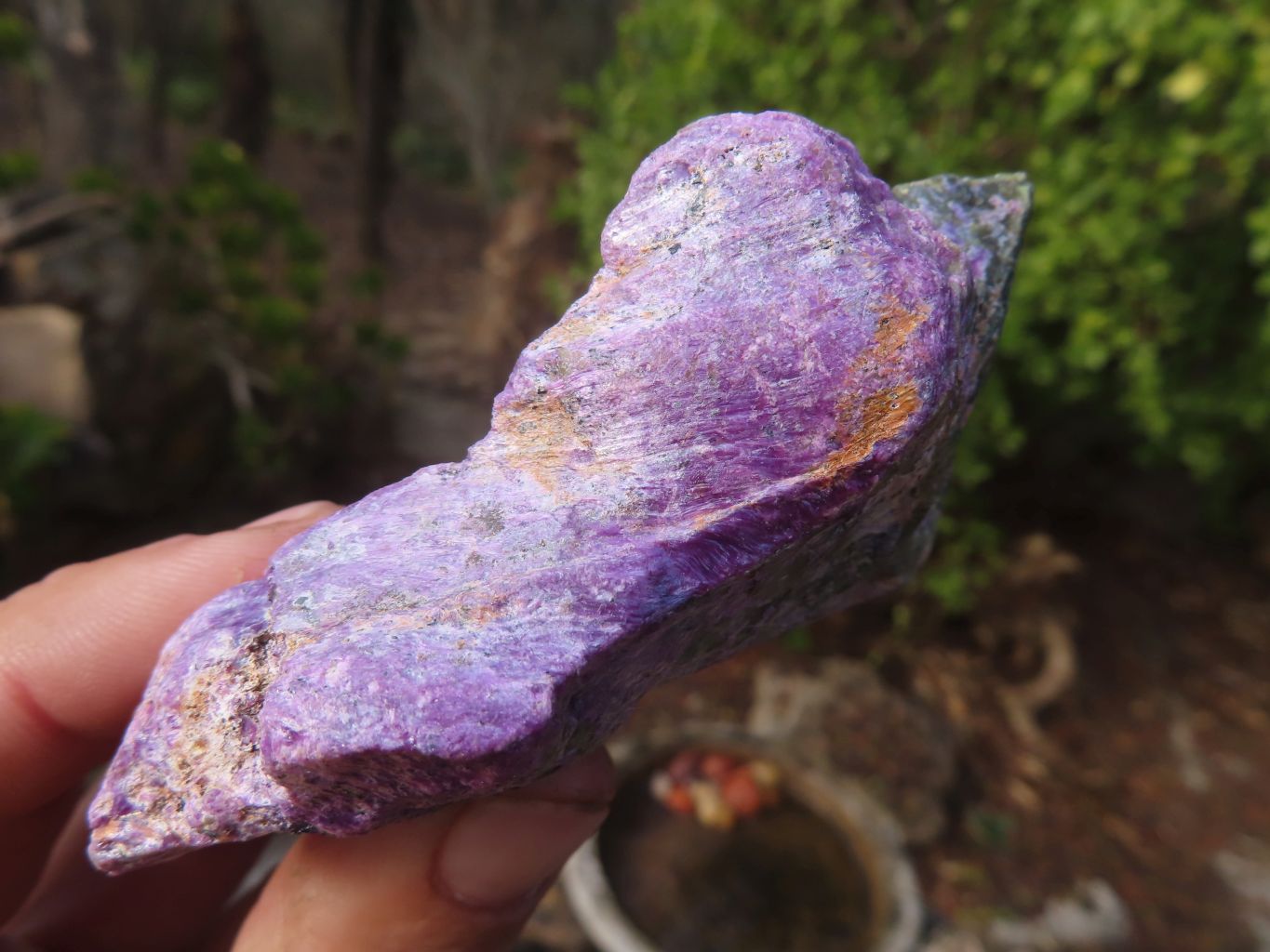 Natural Rough Stichtite & Serpentine Specimens x 12 From Barberton, South Africa - Toprock Gemstones and Minerals 