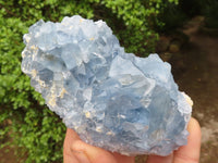 Natural Blue Celestite Crystal Specimens  x 3 From Sakoany, Madagascar - Toprock Gemstones and Minerals 