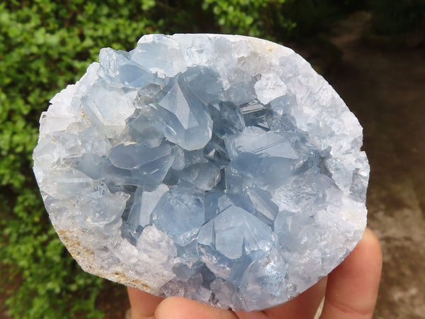 Natural Blue Celestite Crystal Specimens  x 3 From Sakoany, Madagascar - Toprock Gemstones and Minerals 