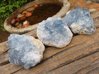 Natural Blue Celestite Crystal Specimens  x 3 From Sakoany, Madagascar - Toprock Gemstones and Minerals 