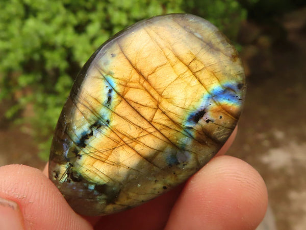 Polished Flashy Blue & Gold Labradorite Palm Stones  x 35 From Tulear, Madagascar
