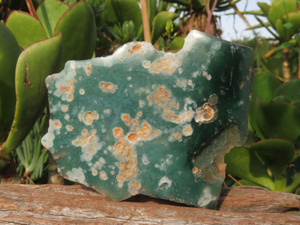 Polished Mtorolite Emerald Chrysoprase Plates x 6 From Mutorashanga, Zimbabwe - TopRock