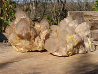 Natural Cascading Smokey Quartz Clusters x 2 From Luena, Congo - Toprock Gemstones and Minerals 