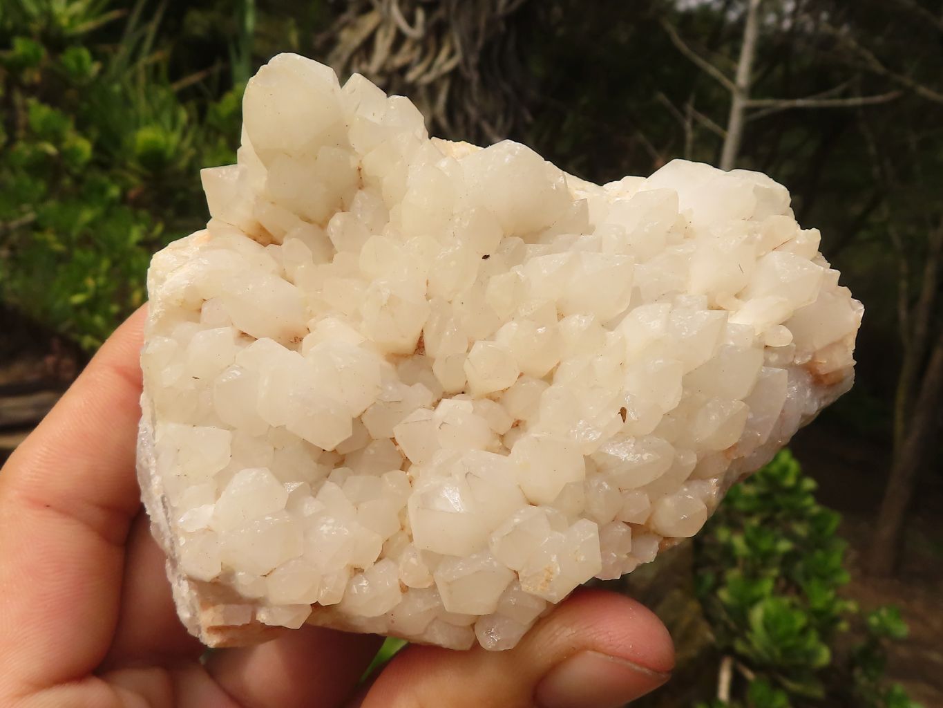 Natural Mixed Candle Quartz Formations  x 12 From Madagascar - Toprock Gemstones and Minerals 