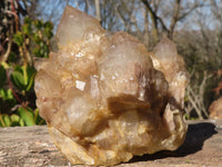 Natural Cascading Smokey Quartz Clusters x 2 From Luena, Congo - Toprock Gemstones and Minerals 