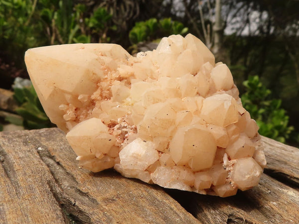 Natural Mixed Candle Quartz Formations  x 12 From Madagascar - Toprock Gemstones and Minerals 