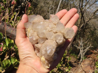 Natural Cascading Smokey Quartz Clusters x 2 From Luena, Congo - Toprock Gemstones and Minerals 