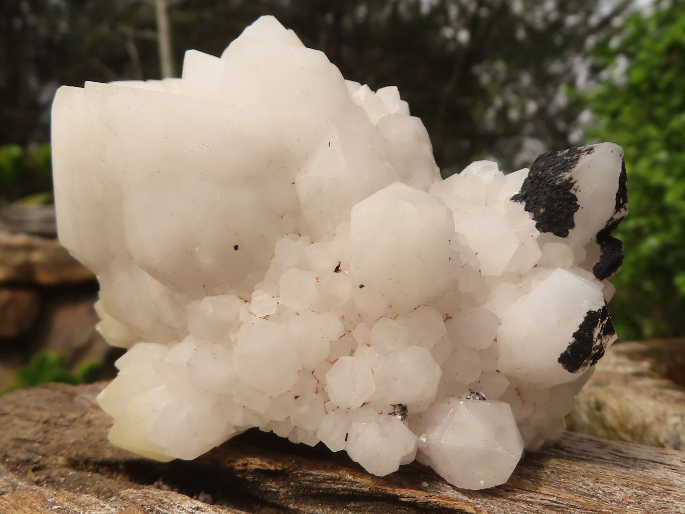 Natural Mixed Candle Quartz Formations  x 12 From Madagascar - Toprock Gemstones and Minerals 