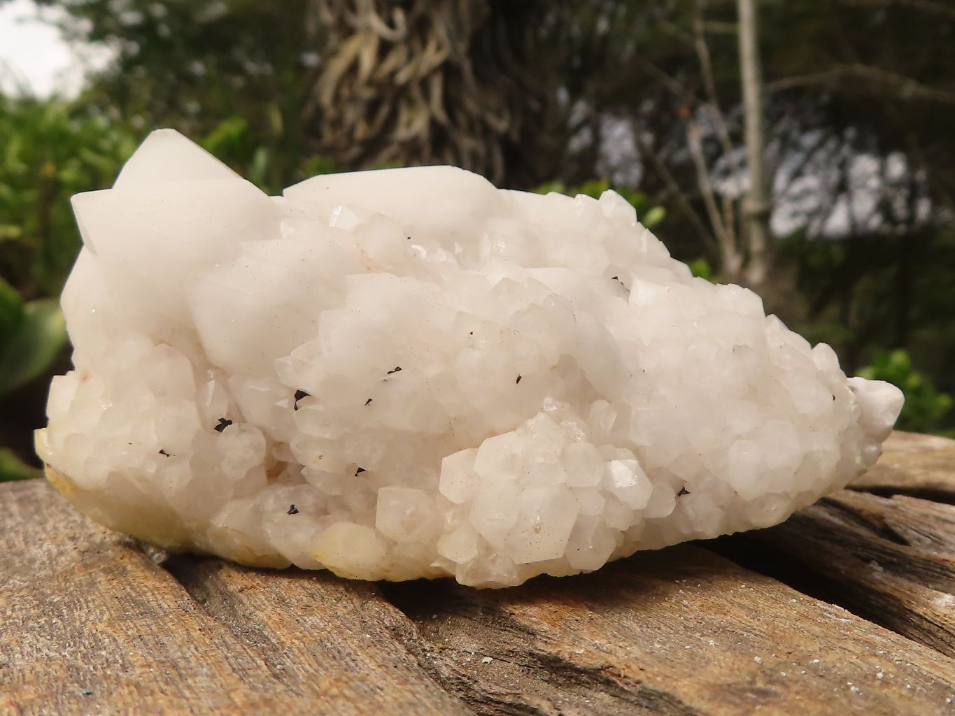 Natural Mixed Candle Quartz Formations  x 12 From Madagascar - Toprock Gemstones and Minerals 