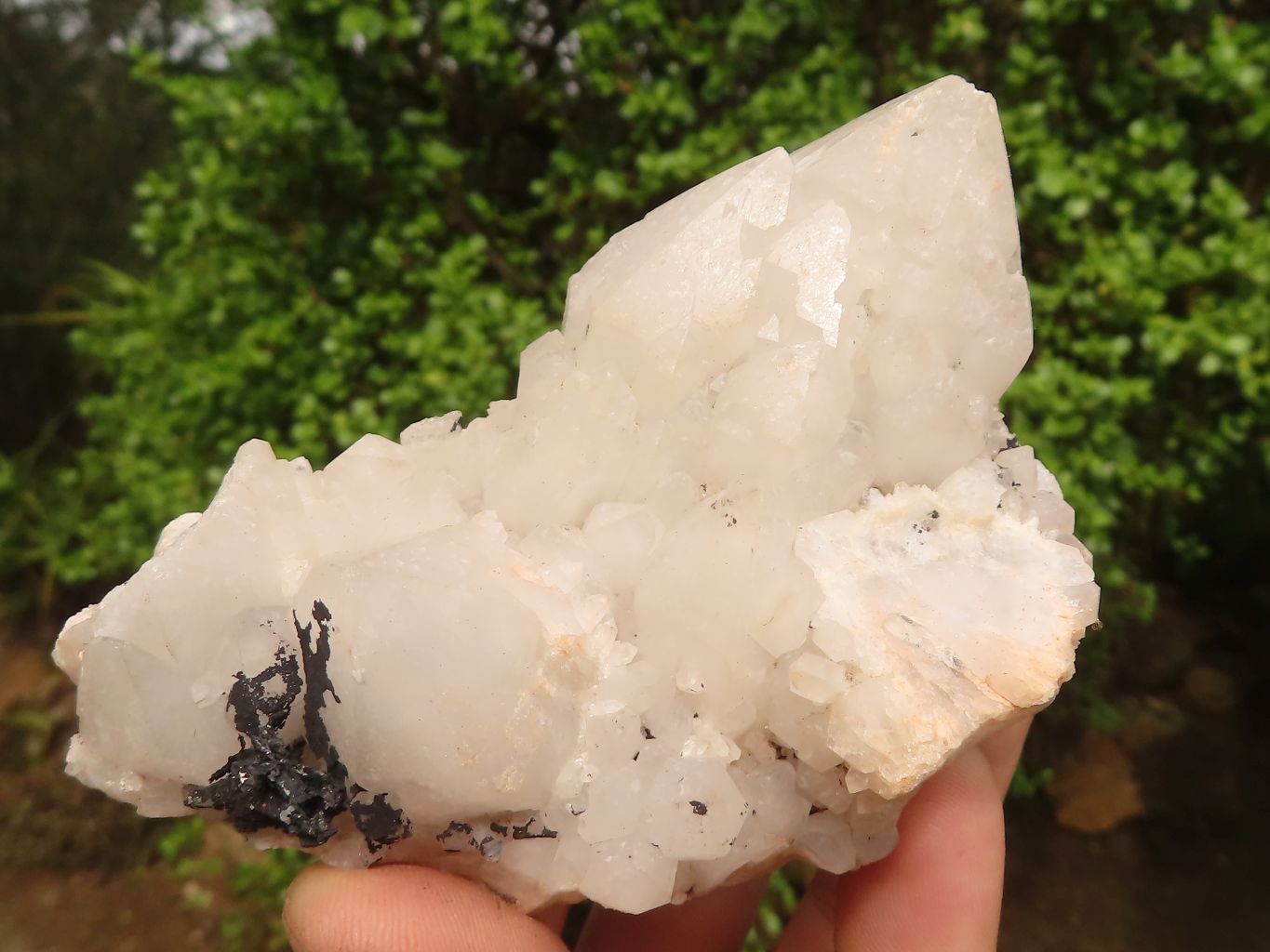 Natural Mixed Candle Quartz Formations  x 12 From Madagascar - Toprock Gemstones and Minerals 
