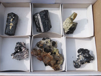 Natural Schorl Black Tourmaline Specimens x 6 From Erongo, Namibia - Toprock Gemstones and Minerals 