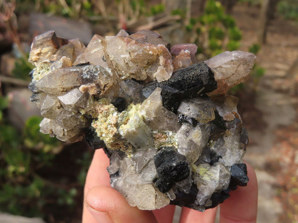 Natural Schorl Black Tourmaline Specimens x 6 From Erongo, Namibia