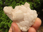 Natural Mixed Candle Quartz Formations  x 12 From Madagascar - Toprock Gemstones and Minerals 