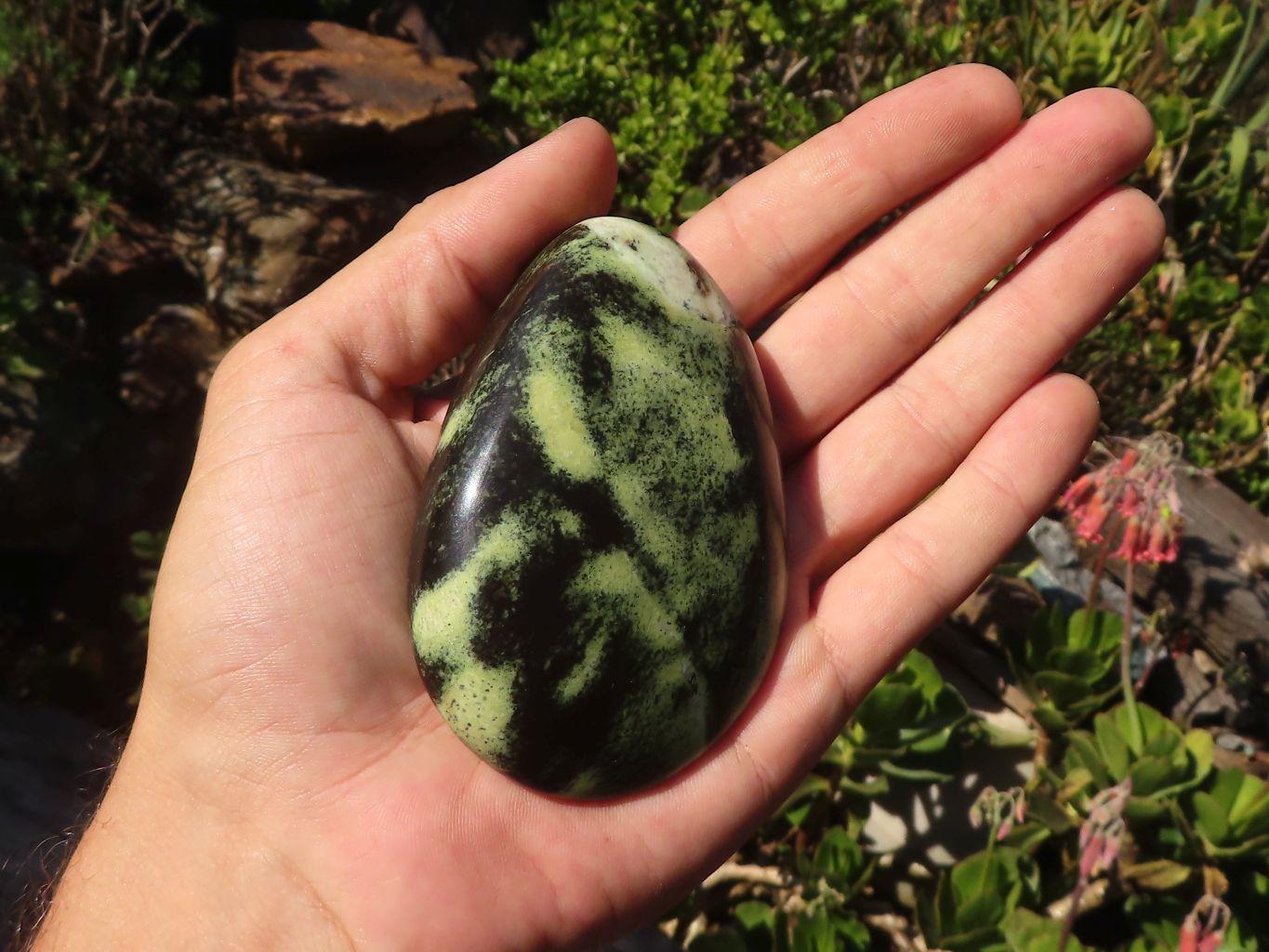 Polished Spotted Leopard Stone Standing Free Forms  x 6 From Zimbabwe - Toprock Gemstones and Minerals 