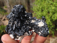 Natural Schorl Black Tourmaline Specimens x 6 From Erongo, Namibia - Toprock Gemstones and Minerals 