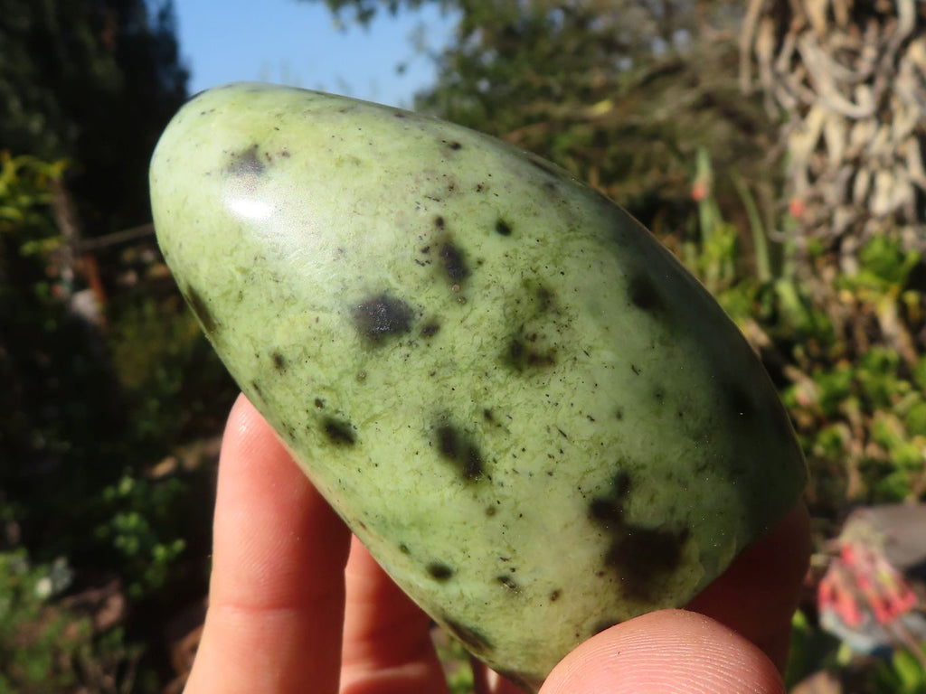 Leopard Spot Rocks Polished Spotted Leopard Stone Standing Free Forms x 6 From Zimbabwe ...
