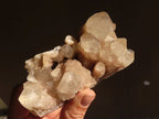 Natural Cascading Smokey Quartz Clusters x 2 From Luena, Congo - Toprock Gemstones and Minerals 