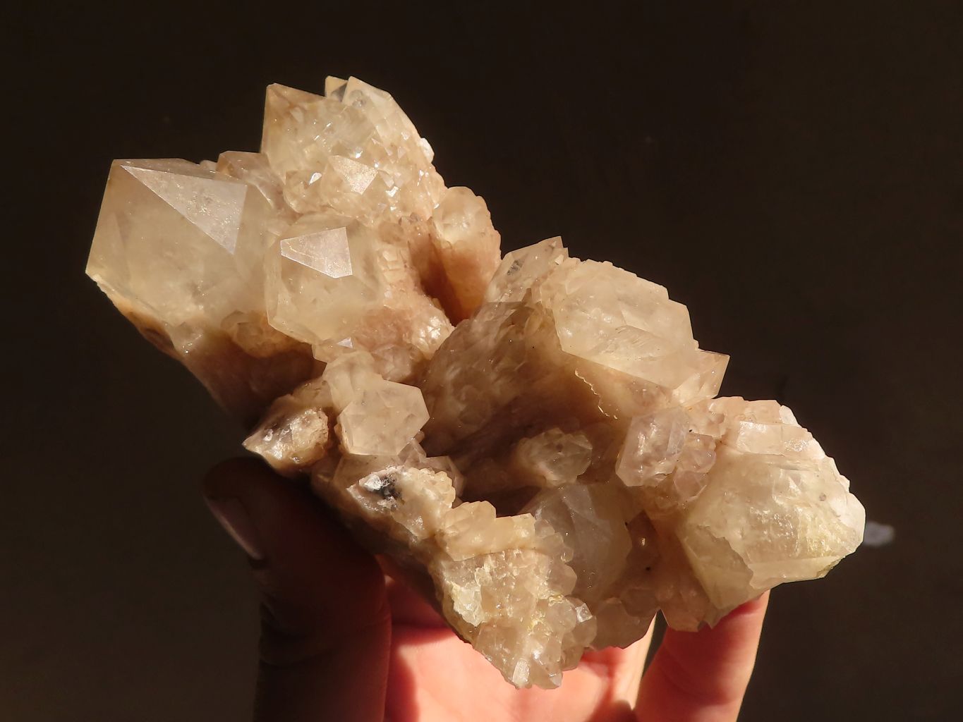 Natural Cascading Smokey Quartz Clusters x 2 From Luena, Congo - Toprock Gemstones and Minerals 