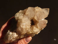 Natural Cascading Smokey Quartz Clusters x 2 From Luena, Congo - Toprock Gemstones and Minerals 