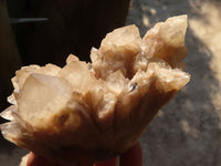 Natural Cascading Smokey Quartz Clusters x 2 From Luena, Congo - Toprock Gemstones and Minerals 