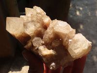 Natural Cascading Smokey Quartz Clusters x 2 From Luena, Congo - Toprock Gemstones and Minerals 