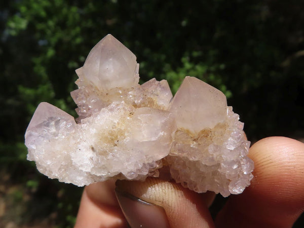 Natural Single Spirit Quartz Crystals  x 63 From Boekenhouthoek, South Africa - TopRock